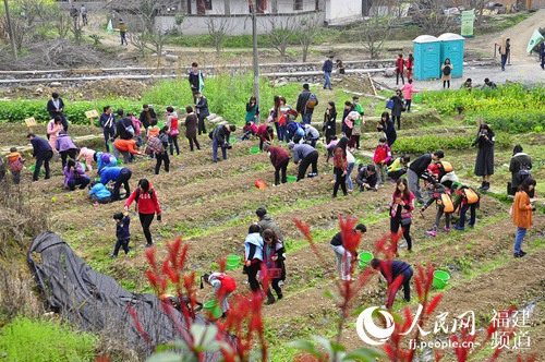 近年来，一种旨在提高情商、逆商的户外培训活动在福州悄然兴起。图为福州某培训机构举办的蔬菜种植体验活动。 吴隆重 摄