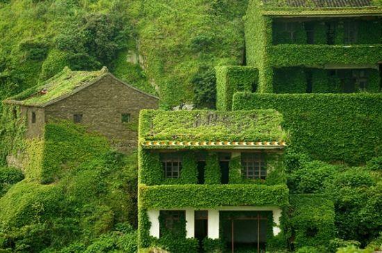 浙江海岛荒村宛如童话世界 有人欲以百万售房