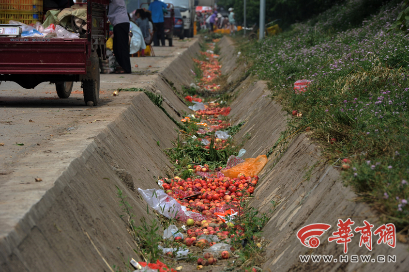 陕西多地油桃滞销 果农倒进河道