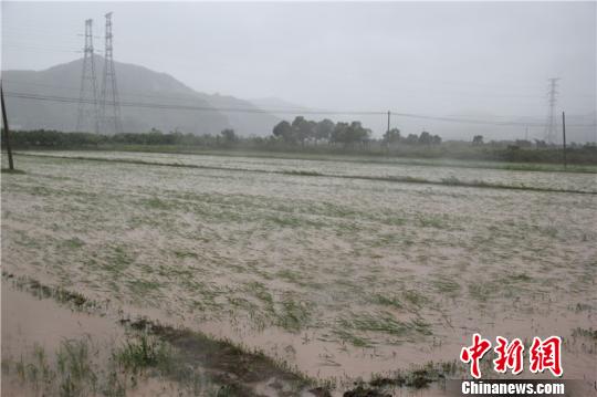 “灿鸿”造成宁波直接经济损失19亿巨灾险理赔已启动