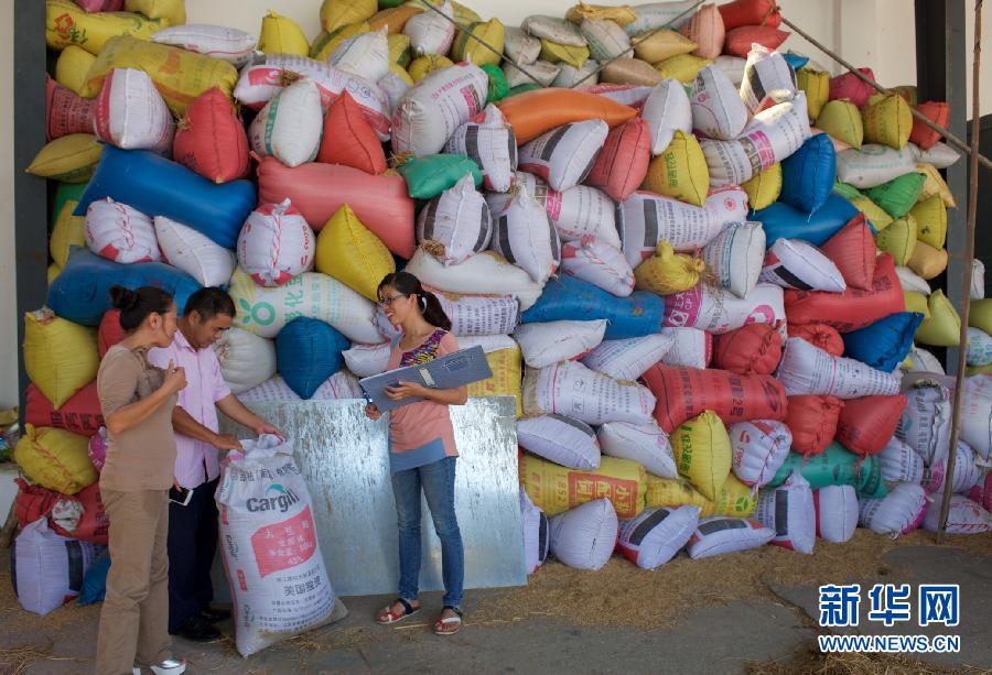（圖片故事）（5）女碩士下鄉記