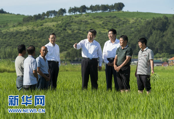 这是7月16日，习近平在延边州和龙市东城镇光东村稻田同村民和农技人员交流。新华社记者 谢环驰 摄