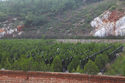 北京昌平一非法墓地建&ldquo;活死人&rdquo;墓村民&ldquo;被死亡&rdquo;