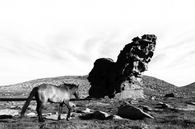古地中海海底遗迹在新疆喀纳斯首次发现