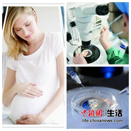 我国单身女性不能冻卵生育网友感慨&ldquo;后悔药&rdquo;水土不服