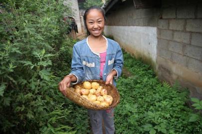 广传于网络的作文《泪》。