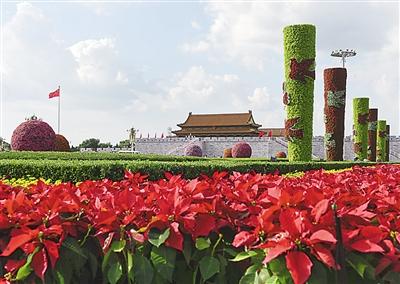 图为北京天安门广场布置的花坛。