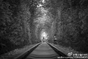 女孩为在&ldquo;爱情隧道&rdquo;拍照两度逼停火车