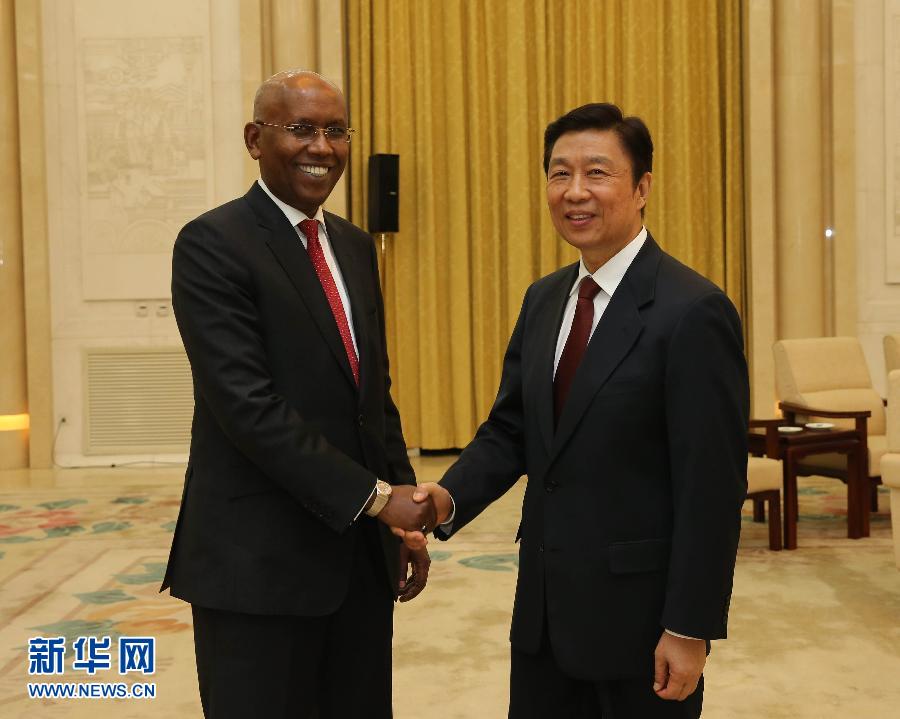 李源潮会见吉布提争取进步人民联盟代表团