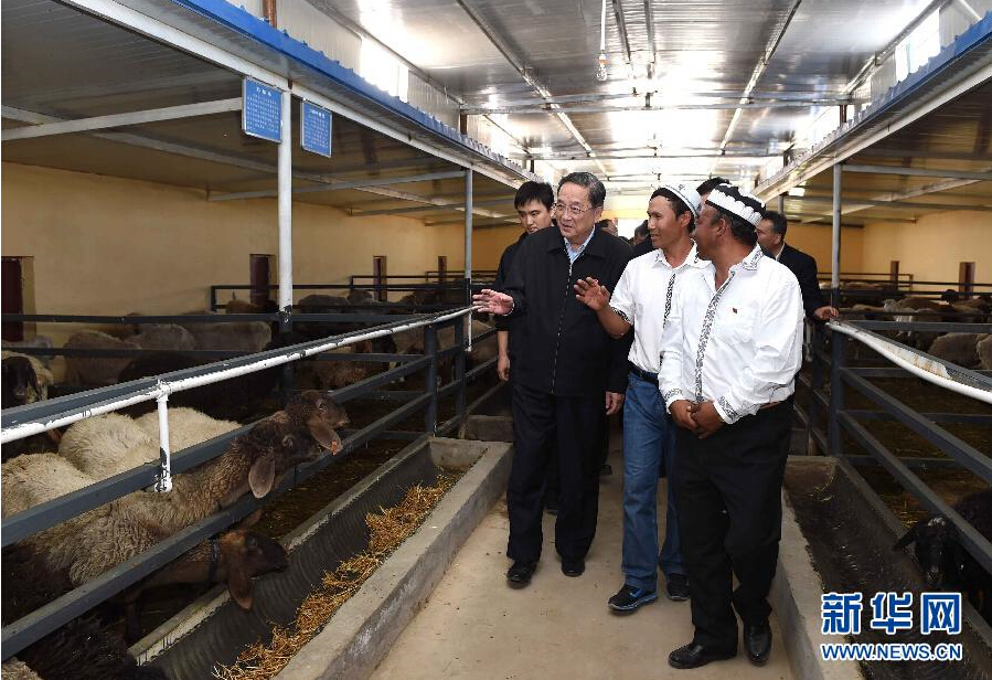 9月27日，中共中央政治局常委、全国政协主席、中央代表团团长俞正声率中央代表团部分成员赴喀什地区莎车县看望各族干部群众。这是俞正声在新疆生产建设兵团第三师莎车农场实地察看万只羊养殖基地。新华社记者 饶爱民 摄