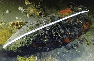 “致远舰”出水印章疑为邓世昌私物