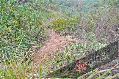 事发山坡。