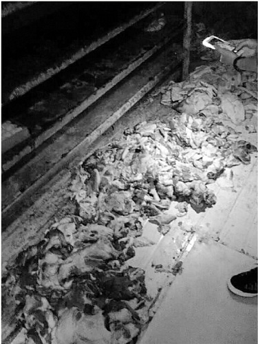 杭州一学校营养午餐惨不忍睹：饭夹生菜里有虫（图）