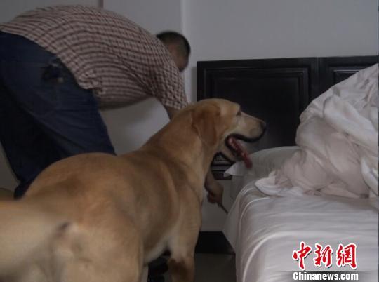 警方搜查涉嫌毒贩租住的公寓。刘振国摄