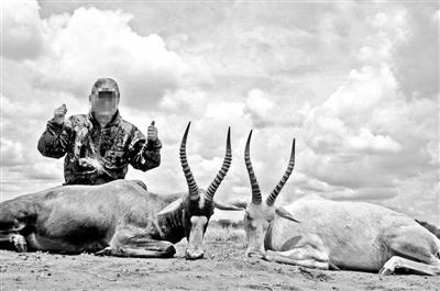 海外狩猎并非富豪专属：最低5万元即可赴美打猎