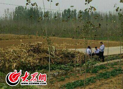 官方回应&ldquo;平邑警察路边打牌&rdquo;：4名协警被辞退