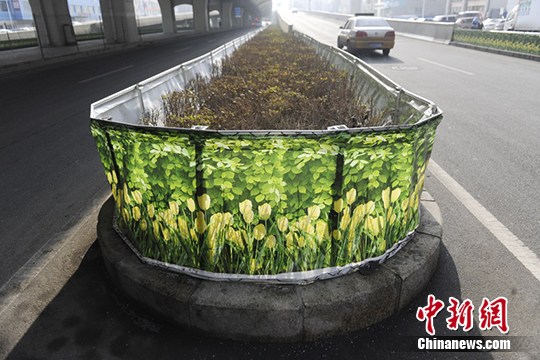 塑料质地的防寒布上画着极为逼真的花朵图案