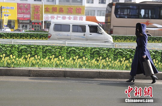 仿真绿化带乍一看去仿佛再次回到了徇丽多彩的夏季