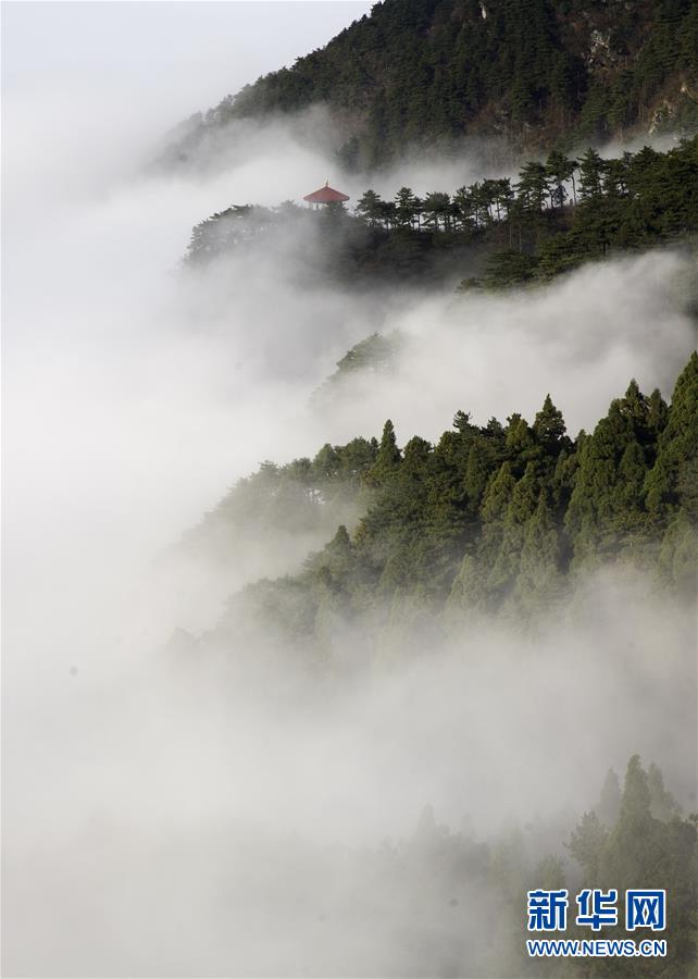 #（生态）（2）雾罩庐山