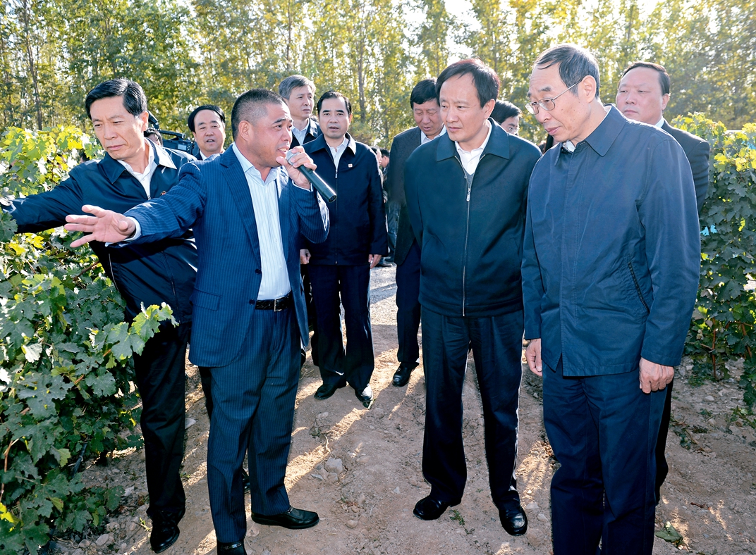 闽宁对口扶贫协作:19年的执著 19年的收获