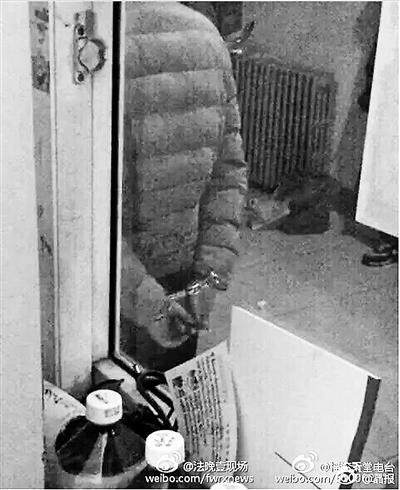 迷笛学校16名学生涉毒被拘 校方:音乐才是解药