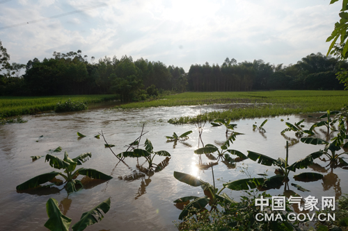 【联合访谈】农气专家详解南方秋冬阴雨寡照天