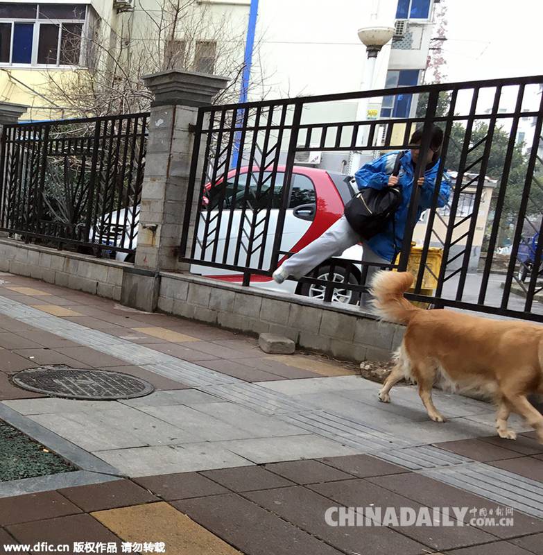 居民抄近道从墙洞进出小区安全堪忧