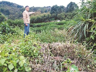 徐云弟向记者指认徐浩的犯罪现场