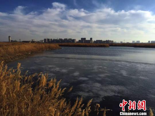 甘肃张掖黑河湿地入围国际重要湿地名录（图）