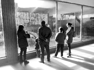 动物世界如期开园，游客前来游玩 本版摄影 现代快报记者 张敏