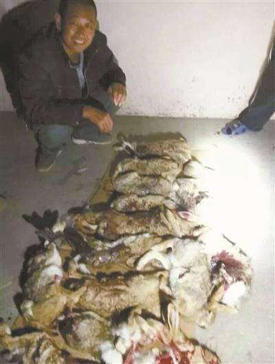 晒出大量被猎杀野生动物及警车陷入泥地里的照片，并声称&ldquo;跟森林公安大战了一夜&rdquo;，并成功逃脱。近日，网友&ldquo;小白斗士&rdquo;在微博上举报此一猖狂盗猎并挑衅公安人员的行为，举报受到国家林业局关注，国家及内蒙古自治区森林公安已展开调查。