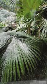 网友晒“冰雹”。