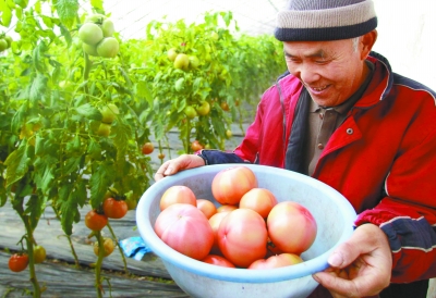 教授是咱农民自家人