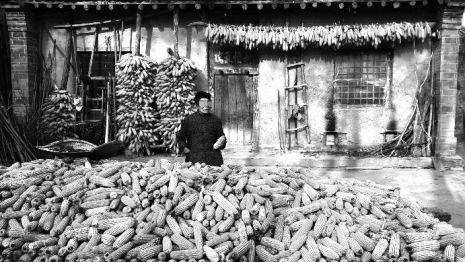 陕西现&ldquo;上门女婿村&rdquo;：79%成年男性外出入赘