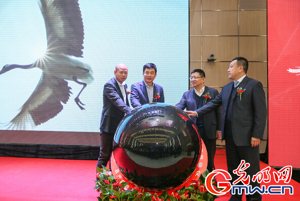 &ldquo;东北黑土&rdquo;农产品交易平台上线试运营