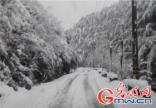 寒冷突至 浙江省红十字会人道救援在行动（2）