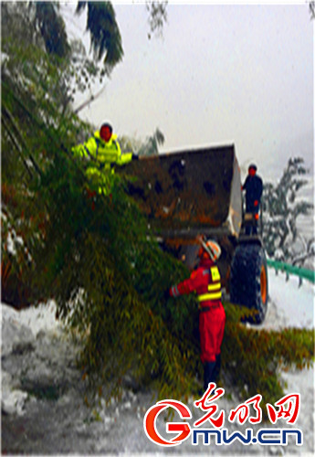 寒冷突至 浙江省红十字会人道救援在行动（2）