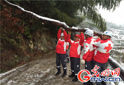 寒冷突至 浙江省红十字会人道救援在行动（2）