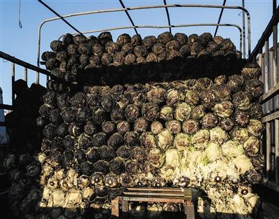 北京一市场失火烧百吨蔬菜 白菜批发价&ldquo;猛涨&rdquo;