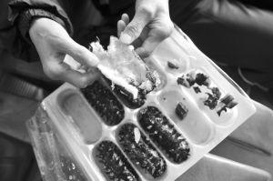 海参卖2元一只能是真的吗？业内人士：人工合成的