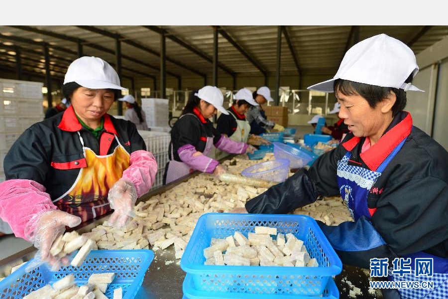 福建宁化县一家农业龙头企业工人在制作农业深加工产品（2014年10月16日摄）。新华社记者 魏培全 摄
