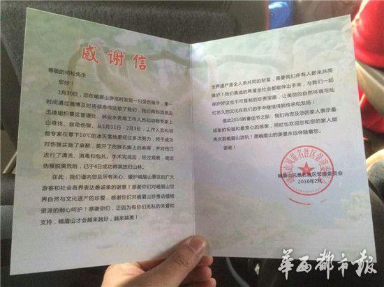 俺老孙又回来了！峨眉山向路人求救猴王康复再称王