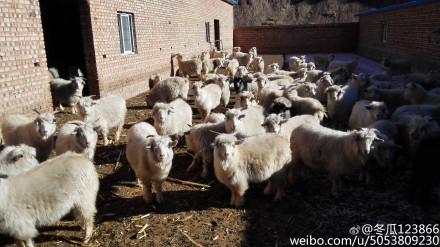 回乡看中国引万千青年重新发现故乡