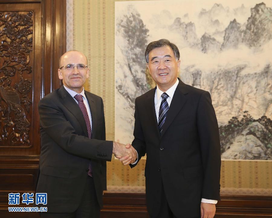 2月28日，国务院副总理汪洋在北京中南海紫光阁会见来华出席二十国集团财长和央行行长会议的土耳其副总理希姆谢克。 新华社记者 丁林 摄