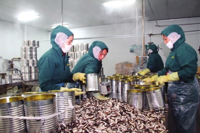 西峡:出口香菇供不应求