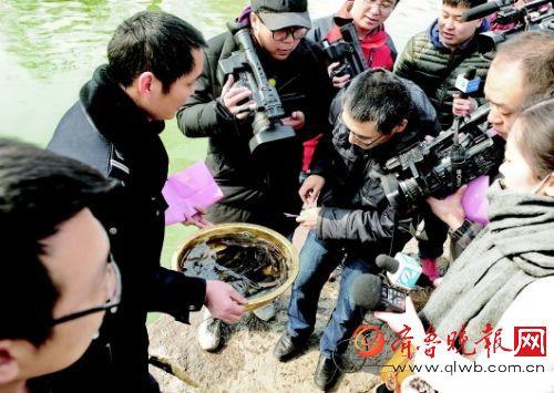 大明湖的生态遭破坏 每天百斤死鱼多是放生鱼