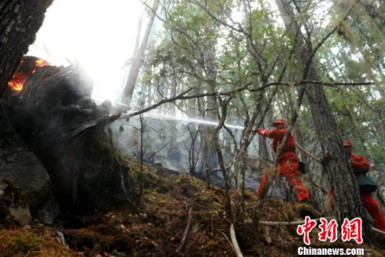 四川九龙森林火灾已全部扑灭无人机助力灭火