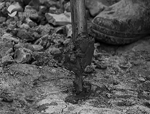 村民种地挖出&ldquo;油田&rdquo;：油像井水涌出 气味刺鼻