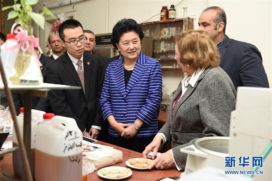 （XHDW）（1）刘延东参观埃及国家研究中心
