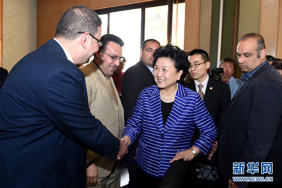 （新华网）（1）刘延东参观埃及国家研究中心